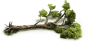 Hidden reward incident fallen tree 2x2.png