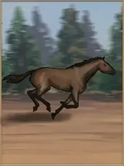 3eb299c6d80a76203de4a07d077eec08