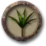 10eae32f0d5f0da31f1832b6aa162229