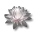 407af78a40594d74e1d1ea9024c6602f