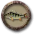 c153e4aee1e6b6c2daa865c41b48fa65