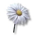 8281c31d9d9954c6c31097915b1f27ff
