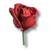 215ccf5a50ffa7c593b1b4506512fb54