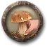 c692b6c11f98edcb6e17d293f578ee6c