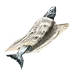 9c5ccb6ffaee47b05032f96155cb9f6f