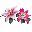 bf9f58ab881a358babe86ce4d5abb20c