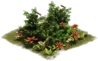 07d2ea5f5c4185770f9e6228c4bb2a62