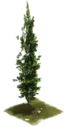 ebd8e88170f60635b53b735eba6f54fe