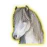 1376753c19689017722508549104ef3c