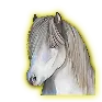 18467b4dc9873ea746161af3ae6fc7bd